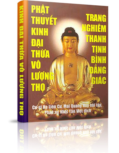 Phật Thuyết Kinh Đại Thừa Vô Lượng Thọ Trang Nghiêm Thanh Tịnh Bình Đẳng Giác - Duyên khởi