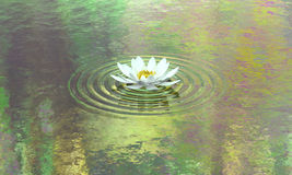 Văn học Phật giáo - Những cánh hoa rơi