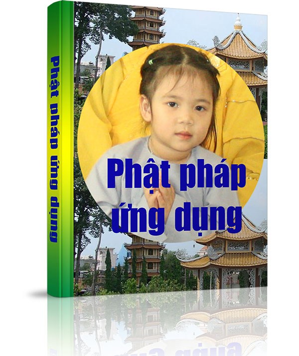 Phật pháp ứng dụng - Người Phật tử nên đọc Kinh điển như thế nào