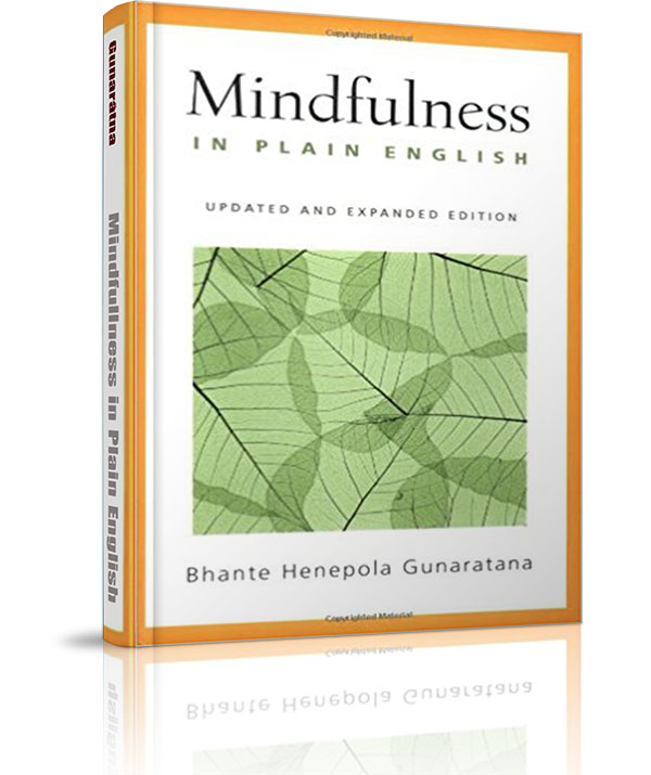 Mindfullness in Plain English