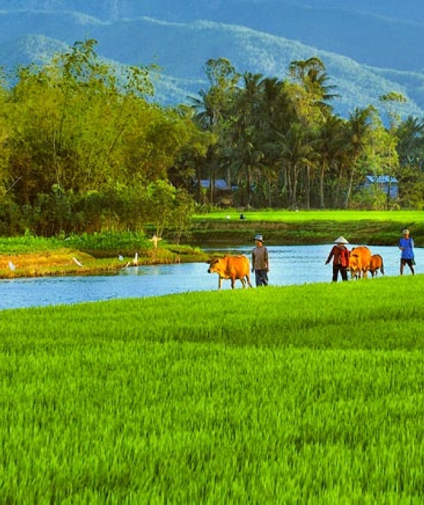 Văn học Phật giáo - Vài suy nghĩ về công trình nghiên cứu “Cải tiến chữ quốc ngữ” của PGS Bùi Hiền