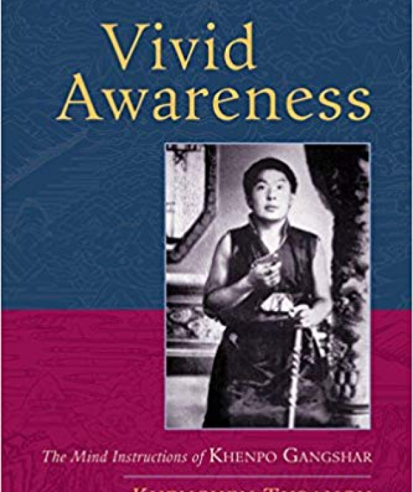 Văn học Phật giáo - Tỉnh Thức Rực Rỡ: Đọc Sách “Vivid Awareness”