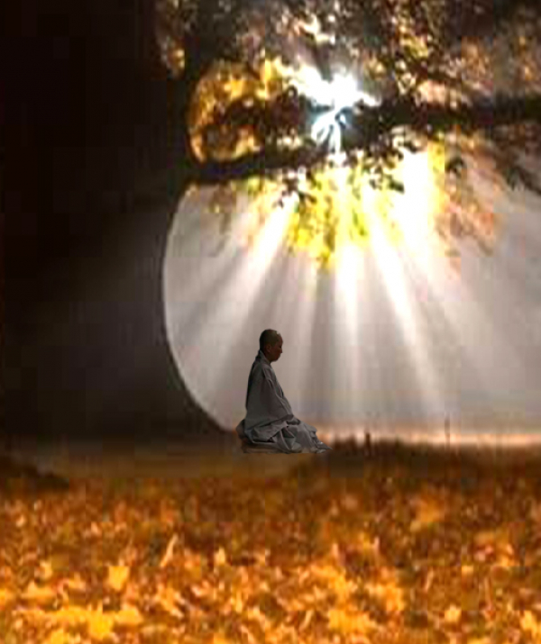 Văn học Phật giáo - Minh Sát Thiền  Do Đại sư Mahasi Sayadaw truyền dạy