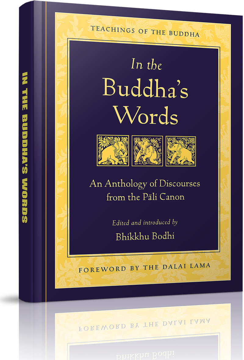 Hợp tuyển lời Phật dạy trong Kinh tạng Pali - IX. Chiếu sáng tuệ quang