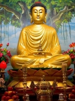 Phật dạy không làm các việc xấu ác