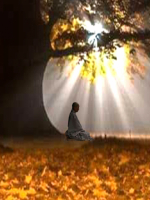 Minh Sát Thiền  Do Đại sư Mahasi Sayadaw truyền dạy
