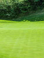 THƯA RẰNG SON SẮT XUÂN XANH