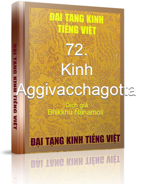 Đại Tạng Kinh Việt Nam