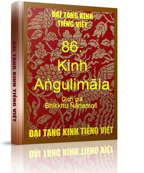 Đại Tạng Kinh Việt Nam