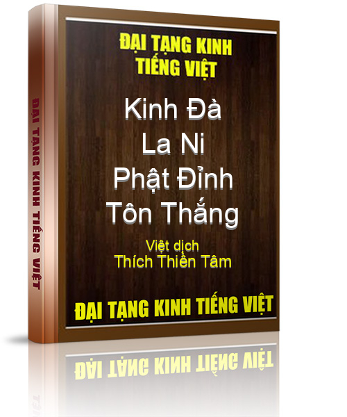 Đại Tạng Kinh Việt Nam