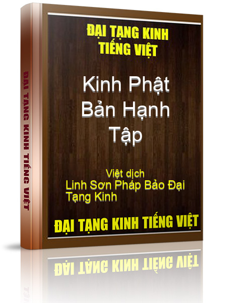 Đại Tạng Kinh Việt Nam