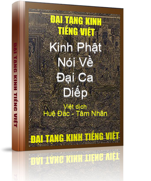 Đại Tạng Kinh Việt Nam