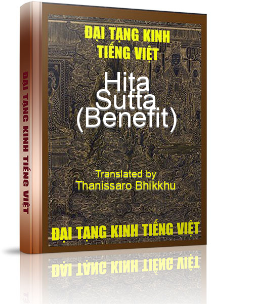 Đại Tạng Kinh Việt Nam