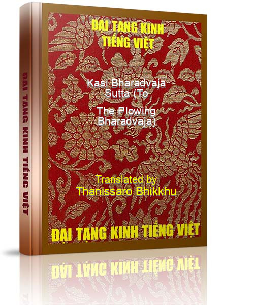 Đại Tạng Kinh Việt Nam