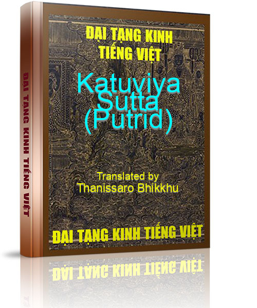 Đại Tạng Kinh Việt Nam