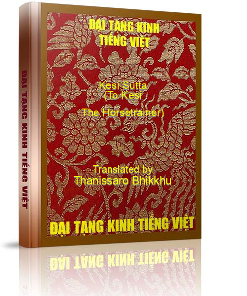 Đại Tạng Kinh Việt Nam