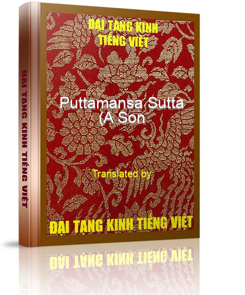 Đại Tạng Kinh Việt Nam