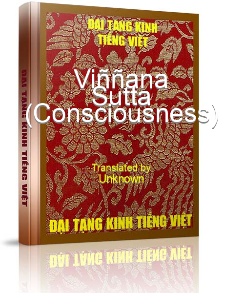 Đại Tạng Kinh Việt Nam