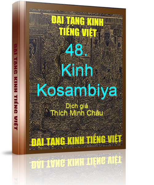 Đại Tạng Kinh Việt Nam