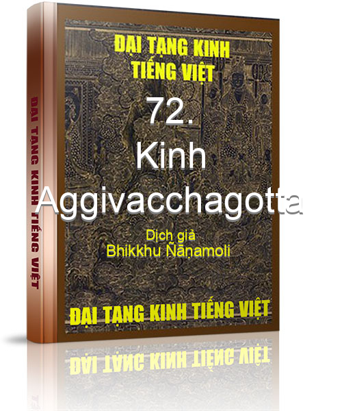 Đại Tạng Kinh Việt Nam