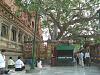 06-Bodhgaya-H1a.jpg