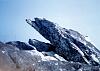 07-Rajgir_LinhThuu-D2.jpg