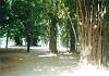 09-Rajgir-Veluvana1b.jpg